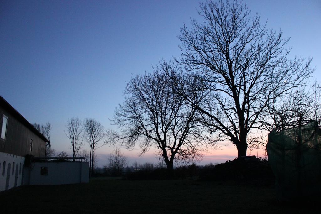 Kiekutsland Daire Westerholz Dış mekan fotoğraf